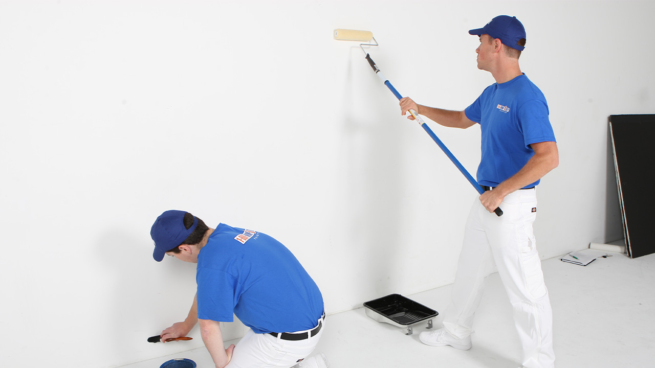 Derepazarı Boya Badanacı